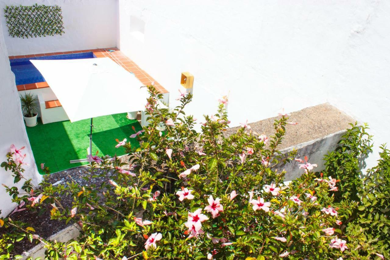 Вілла Casa Dos Tios Estremoz-Veiros Екстер'єр фото